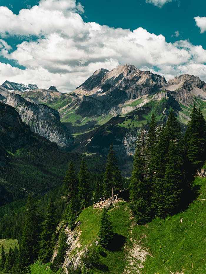 Services Breathtaking mountain landscape with lush greenery and blue skies in Kandersteg, Switzerland.